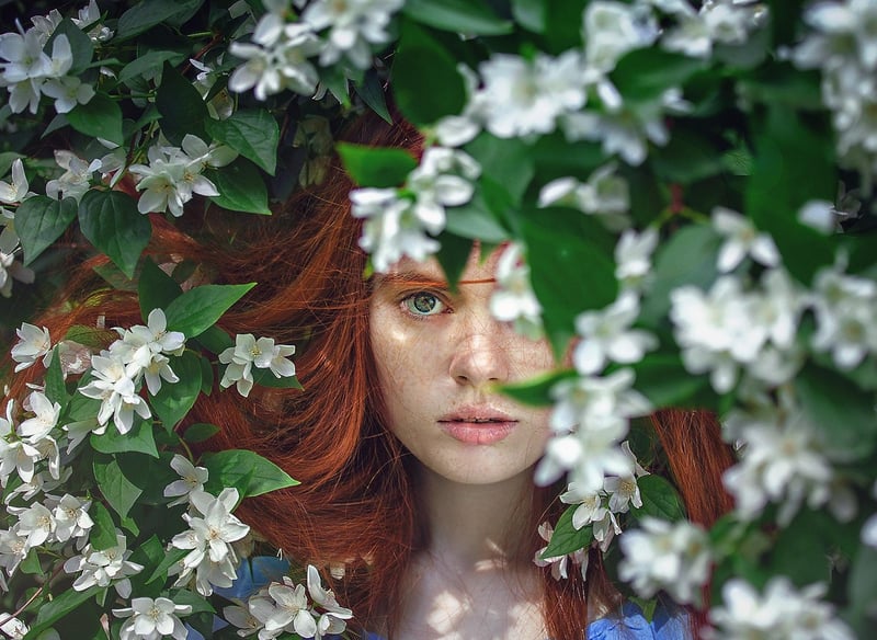 Enchantment Blooms